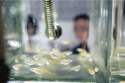 2009070214501937 welcometo欢迎光临888集团(中国)有限公司